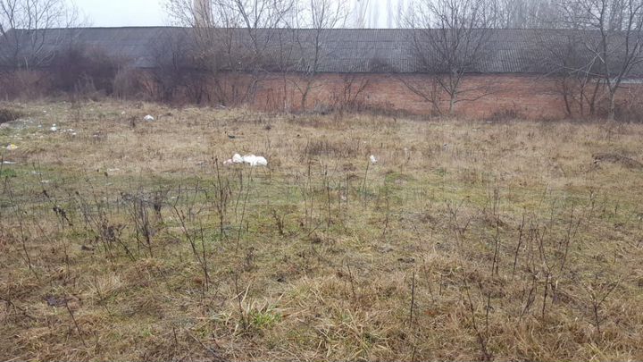 Участок 12,5 сот. (ИЖС)