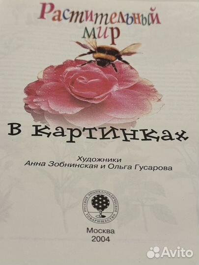 Растительный мир в картинках