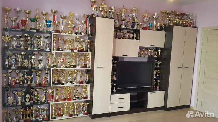 Шикарные британские котята от чемпиона мира