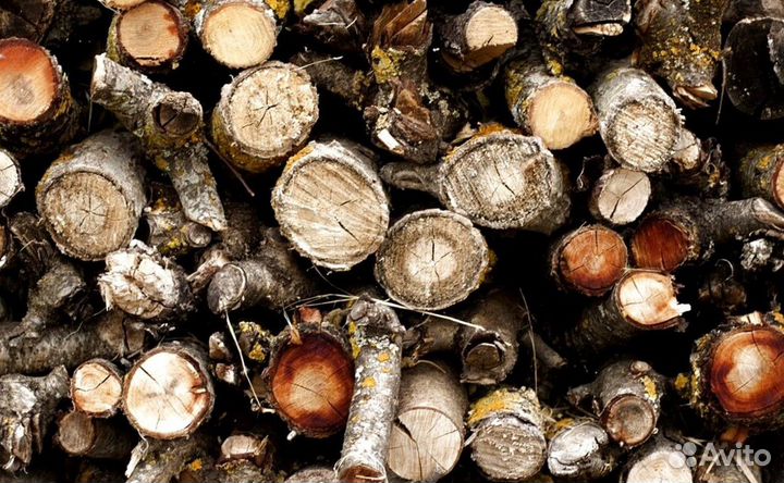 Дрова без гнили