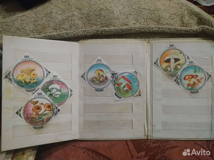 Альбом с марками грибы