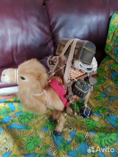 Верблюд навьюченный