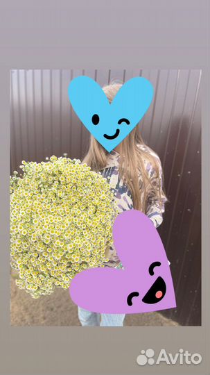 Букеты из ромашек