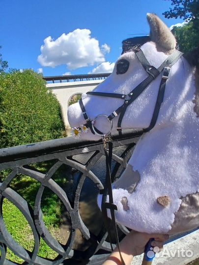 Хорсы в продаже цена разная