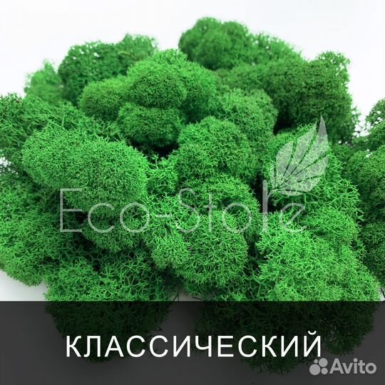 Мох ягель с авито доставкой