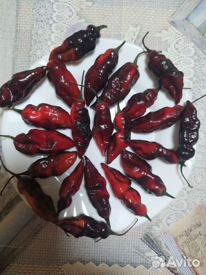 Семена самых острых перцев (суперхотов )