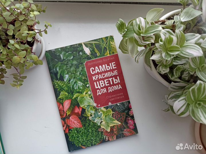 Книги о кактусах, цветах, альпинарий