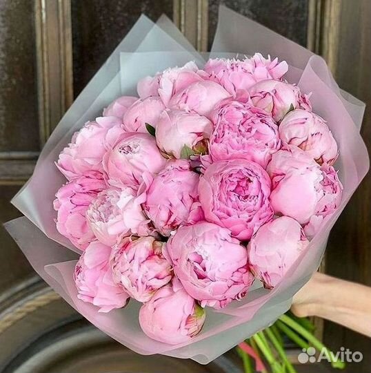 Пионы Букет пионов
