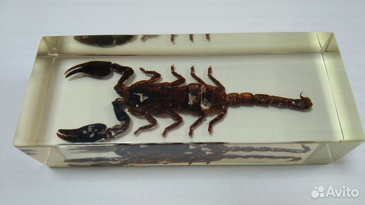 Фарфоровая статуэтка. Корзина. Сувенир