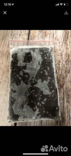 Живой корм для рыб