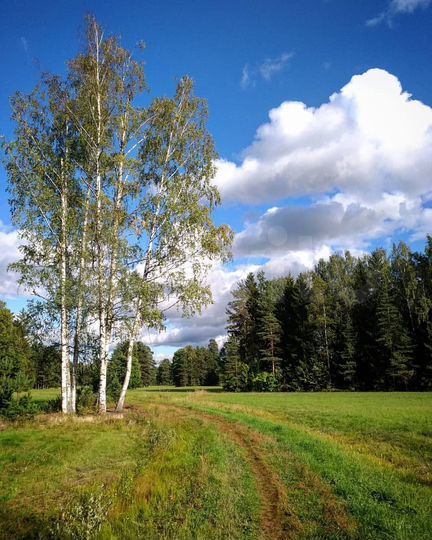 Участок 6 сот. (ИЖС)