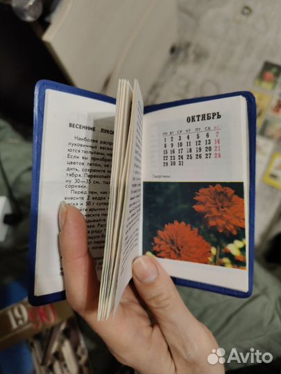 Ежемесячный календарь Садовод 1984 г