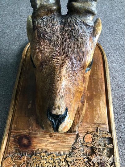 Рога козерога