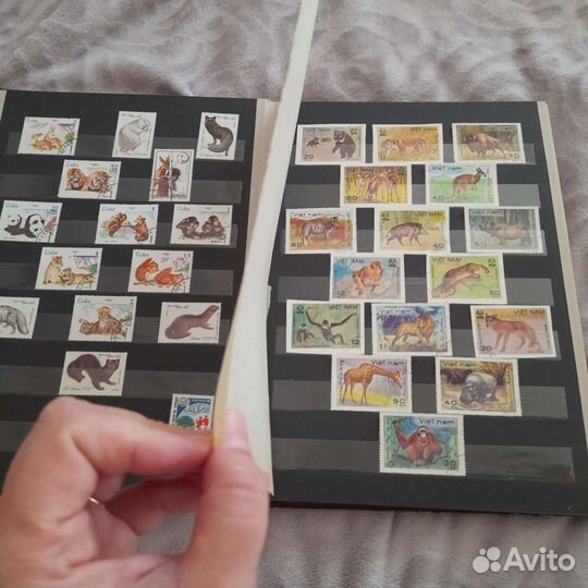 Альбом с марками