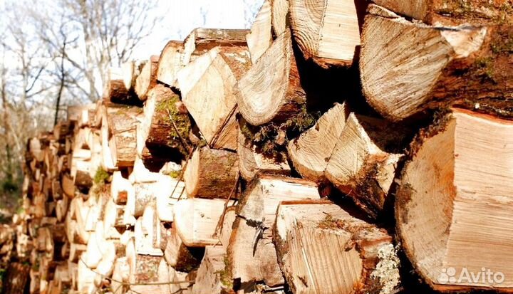 Дрова лиственные