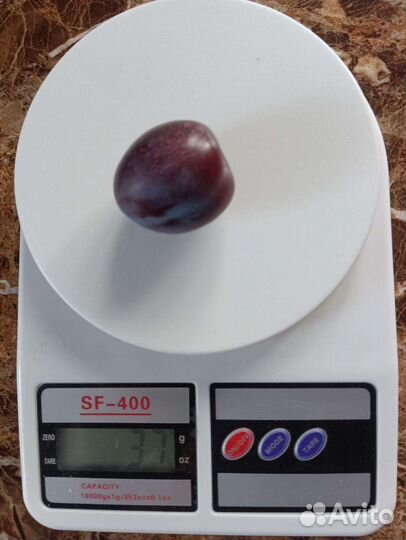 Саженцы малина, слива