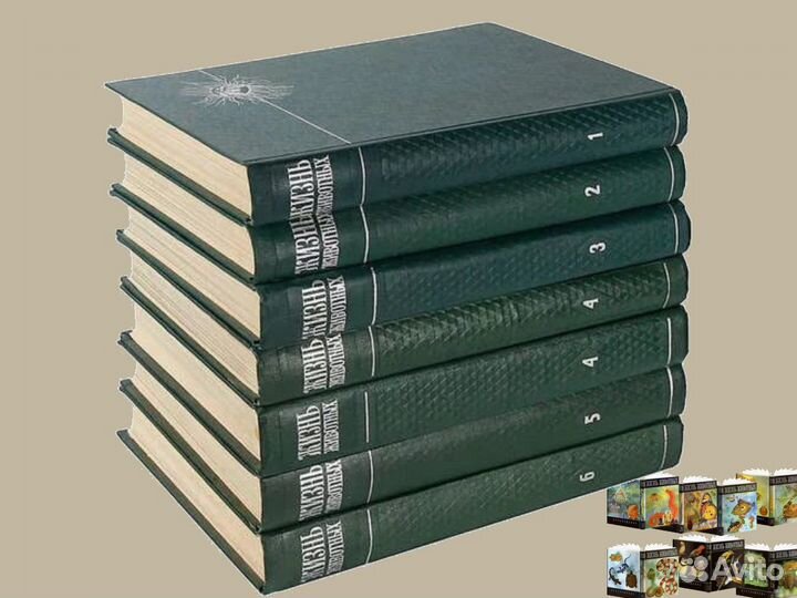 Энциклопедии для детей (детские)