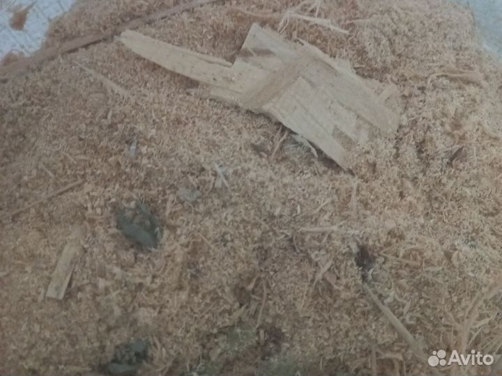 Опилки сухие стружка