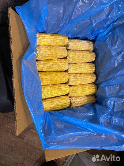 Кукуруза в початках замороженная