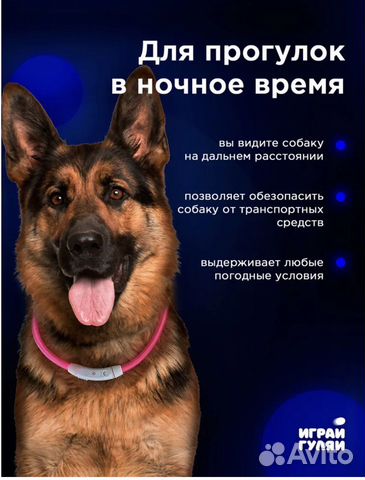 Светодиодный ошейник для собак