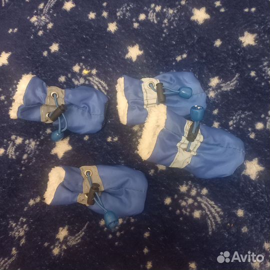 Обувь для собак мелких пород