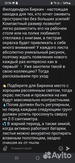 Комнатные цветы