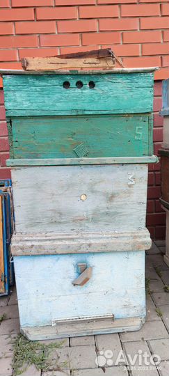 Ульи дадан 12 рамочные