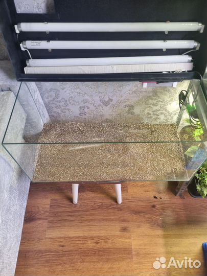 Террариум для растений и животных