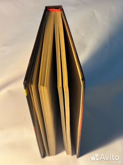 Преступники и преступления. Законы преступного мир