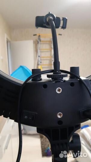 Кольцевая лампа