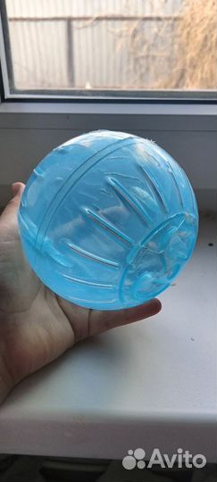 Шарик для хомячки прогулок