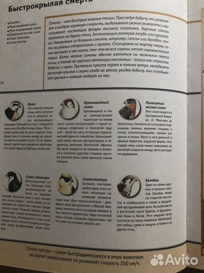 Книги для детей