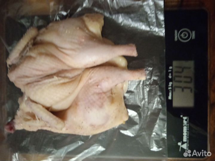 Радонежский перепел - инкубационное яйцо, перепела