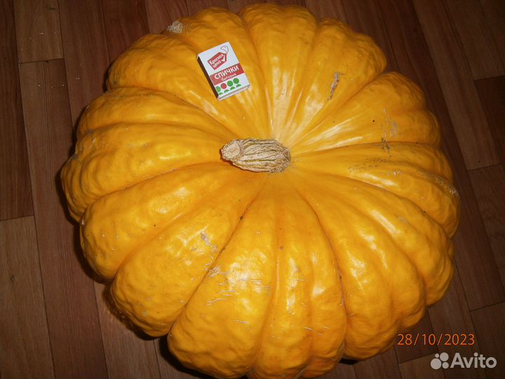 Тыква 20кг