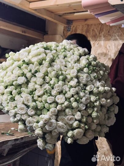 Букет из 21, 31, 51, 101, 201 кустовой розы