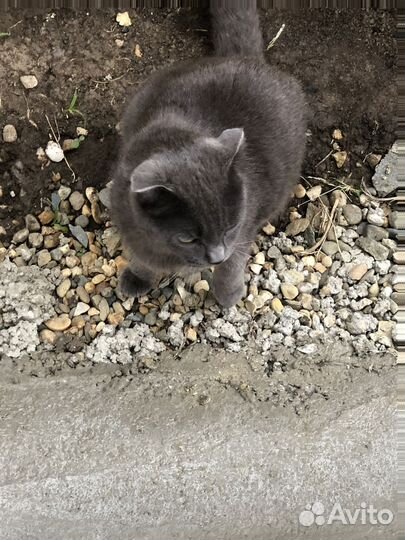 Тротуарная плитка с доставкой заказ от 120 м2