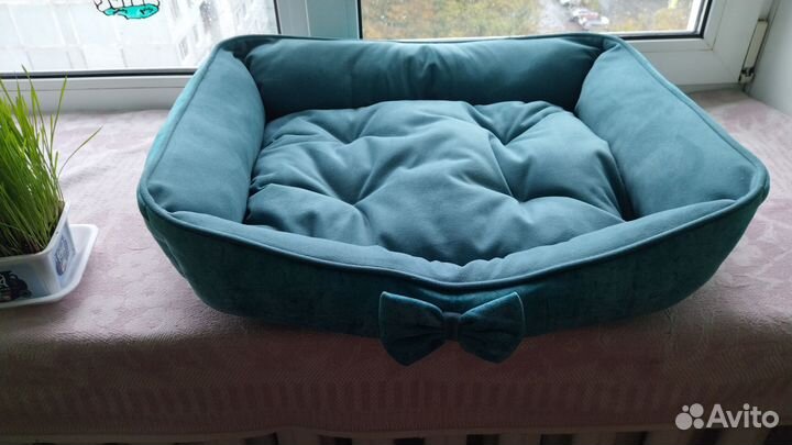 Передержка одного кота, кошки,выезд к собачкам