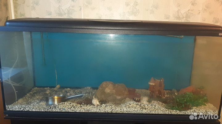 Аквариум