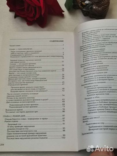 Веды о силе времени Торсунов