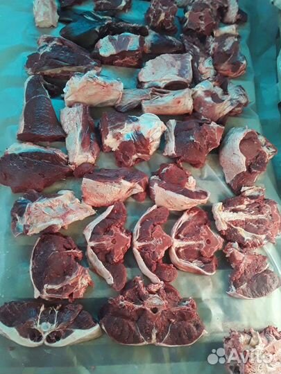 Лошади. конина 1/4. 1/2 часть