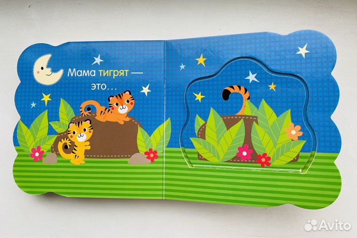 Книжка с окошками Цвета Clever