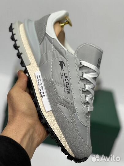 Кроссовки мужские lacoste серые