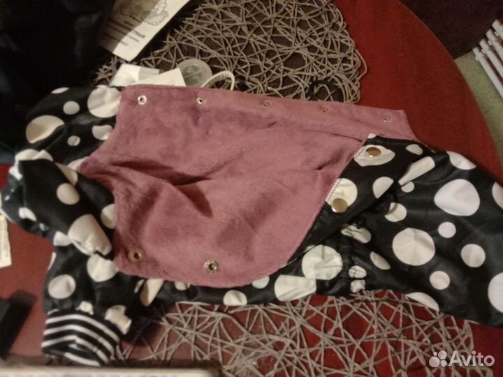 Одежда для маленьких собак