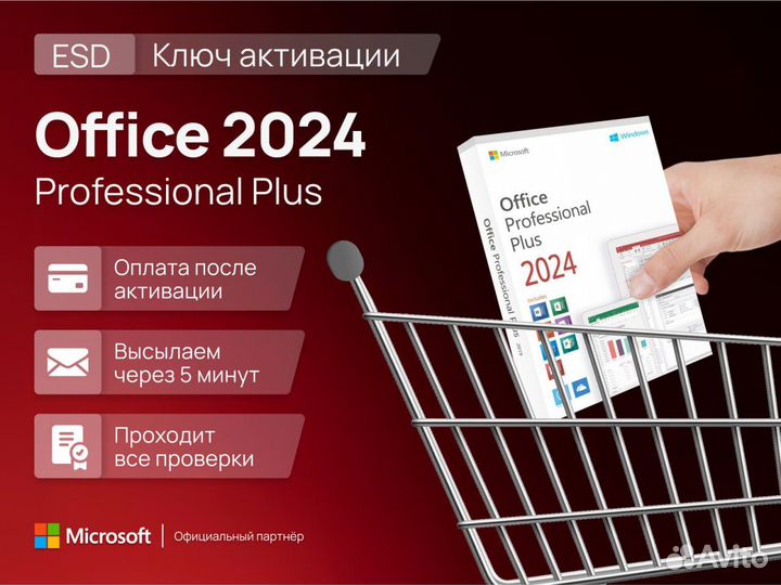 Ключ Microsoft Office 2024 Pro Plus