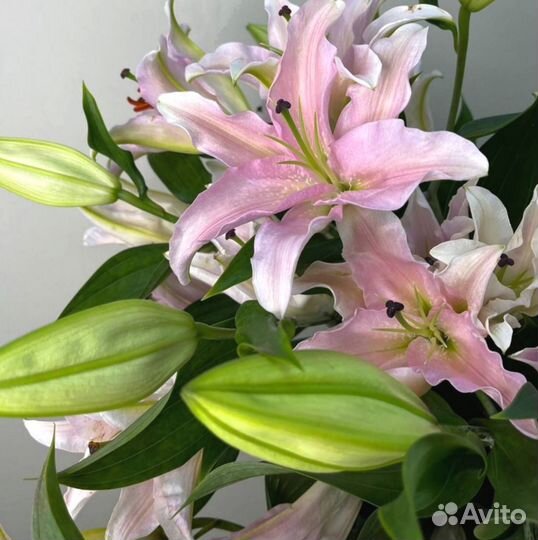 Букет из лилий