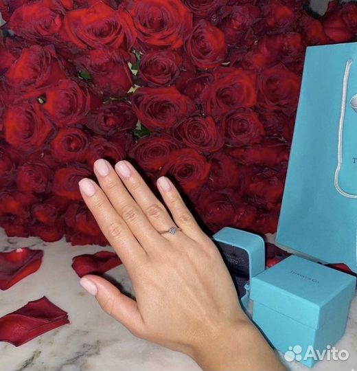 Цветы подарок