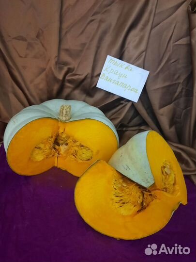Тыква редких сортов