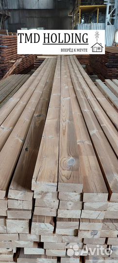 Планкен из термососны сорт авс