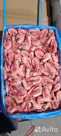 Креветка северная 60-80шт в кг Магаданрыба