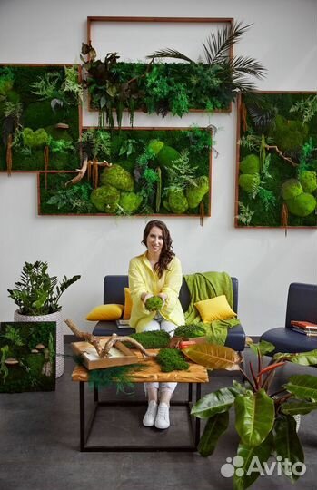 Стабилизированный мох для интерьера